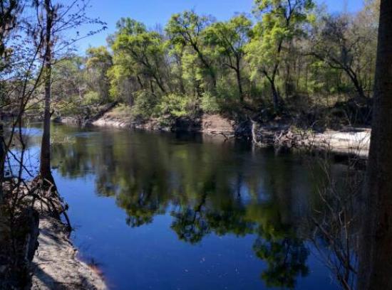 Suwannee River